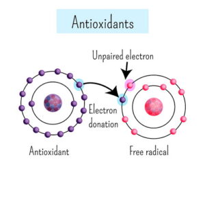 Antioxidant Illustration