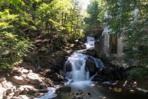 Photo of a waterfall with trees along side