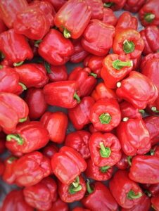 Red Peppers