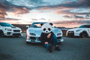 Man in panda mask in front of a car