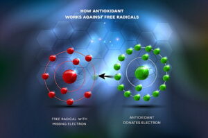 Illustration of how Antioxidant Works Against Free Radicals