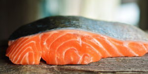 Salmon