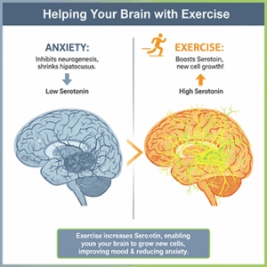 Comparision image comparing anxiety and exercise