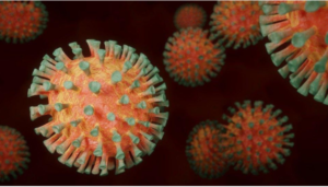 Microscopic view of the COVID virus