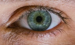 Close up photo of a hazel eye