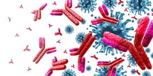 Antibodies attacking contagious virus cells and pathogens as a 3D illustration.